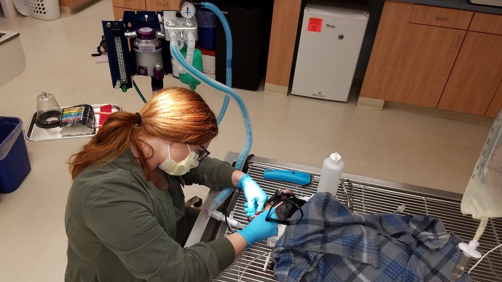 20181016_092006_resized