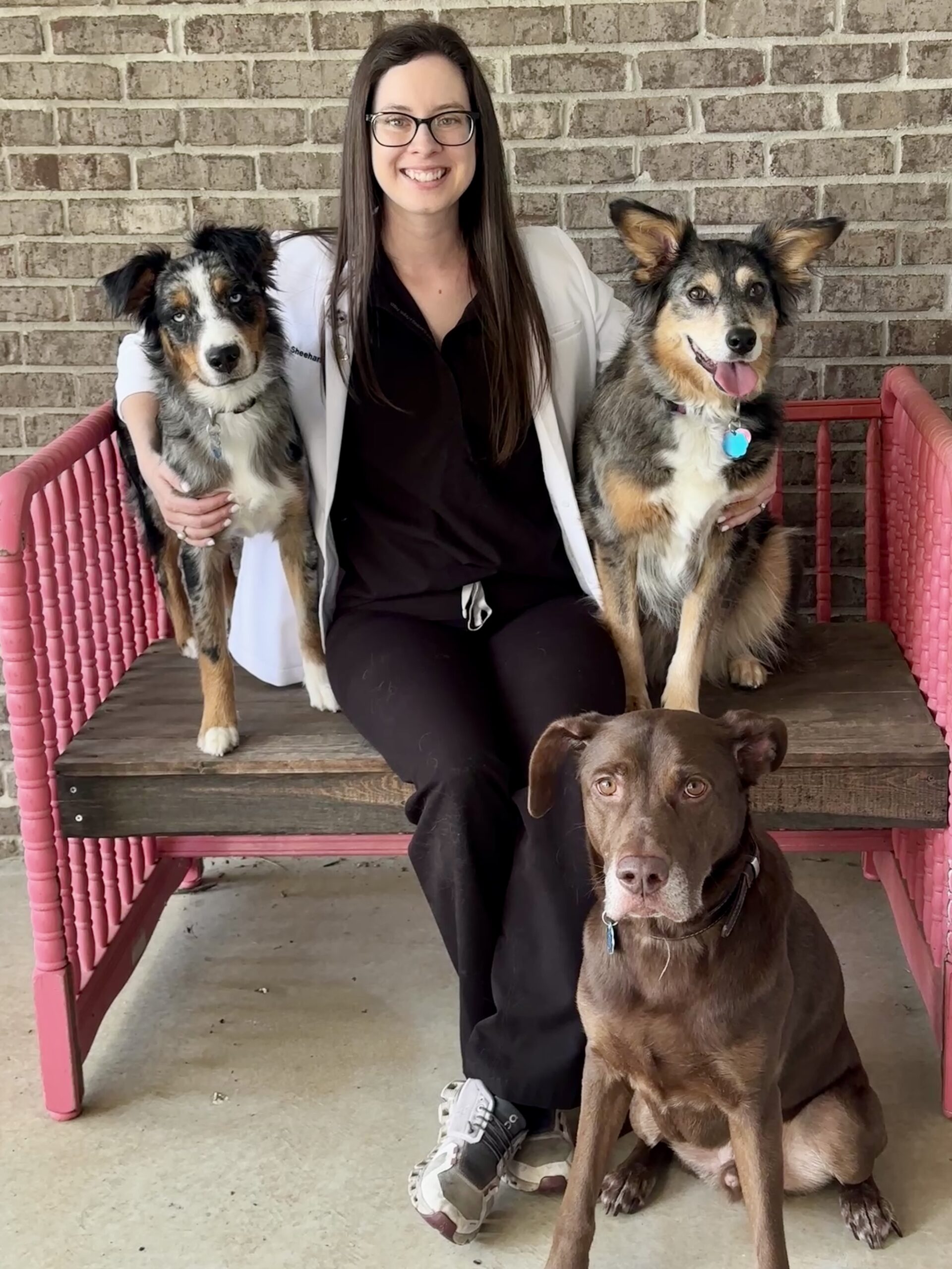 Pet Nutrition